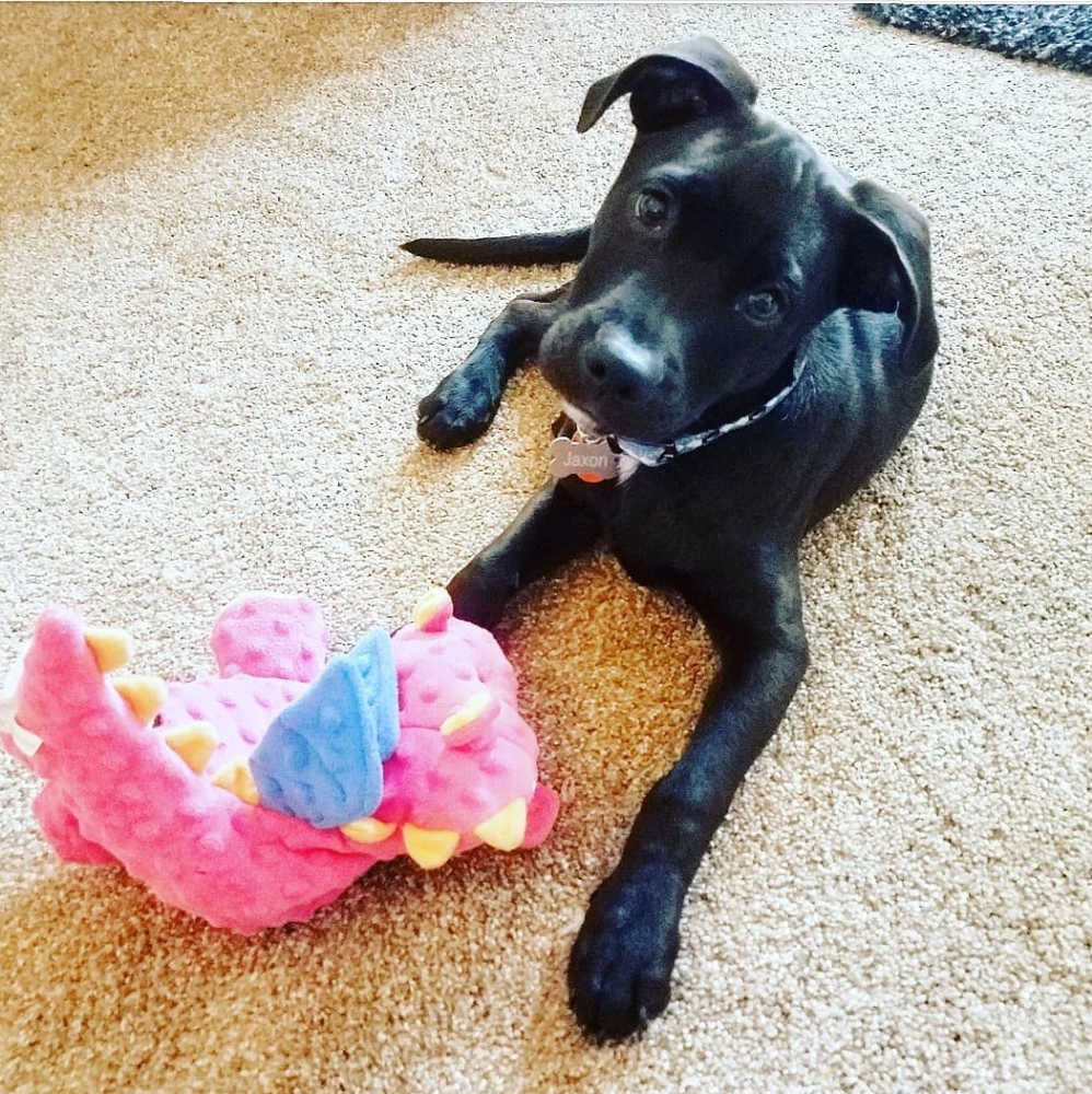 Meet your Posher, Rebecca